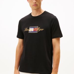 T-shirt TH à col ras-du-cou et logo brodé 066W