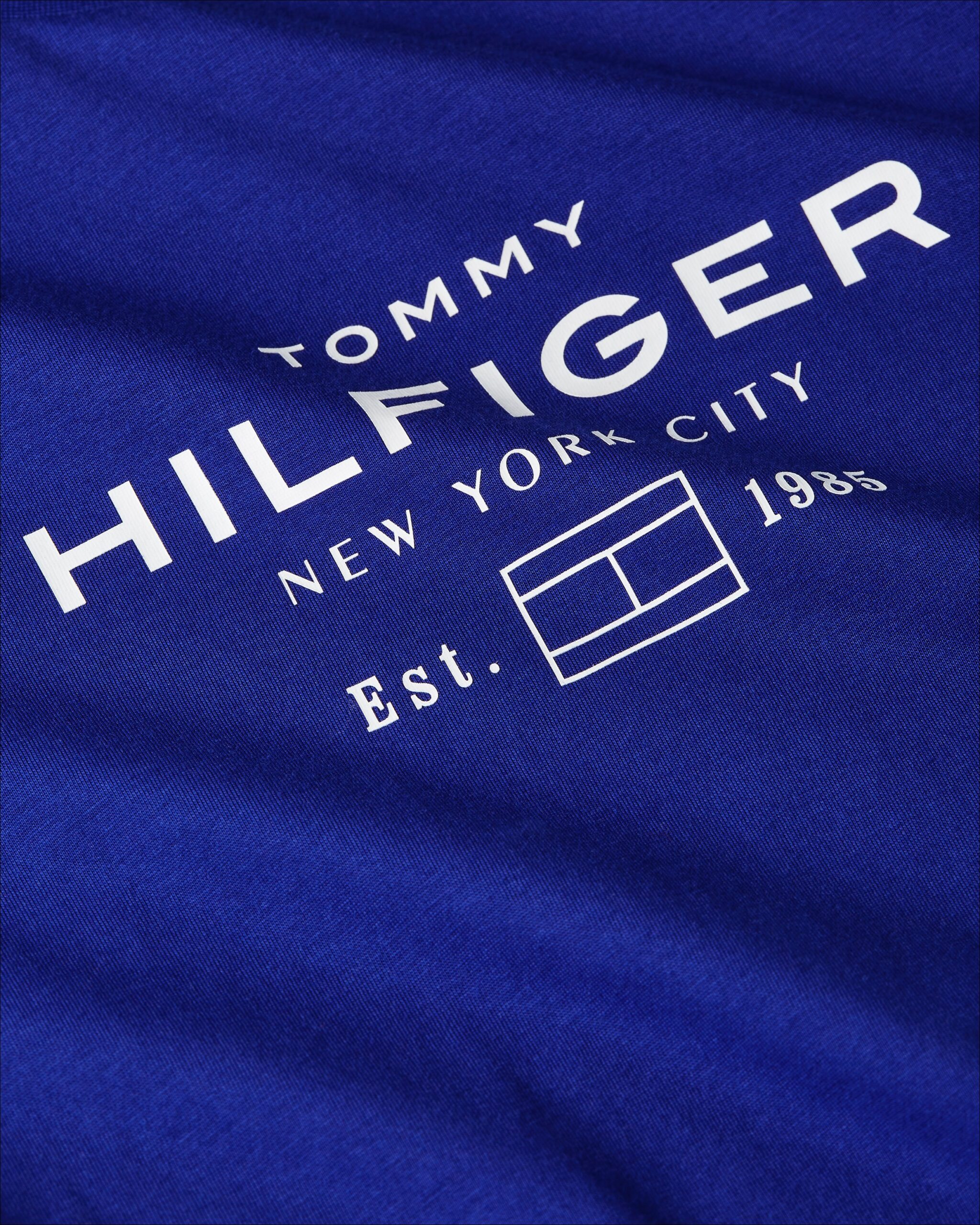 T-shirt TH à logo graphique et col ras-du-cou 066R – Image 2